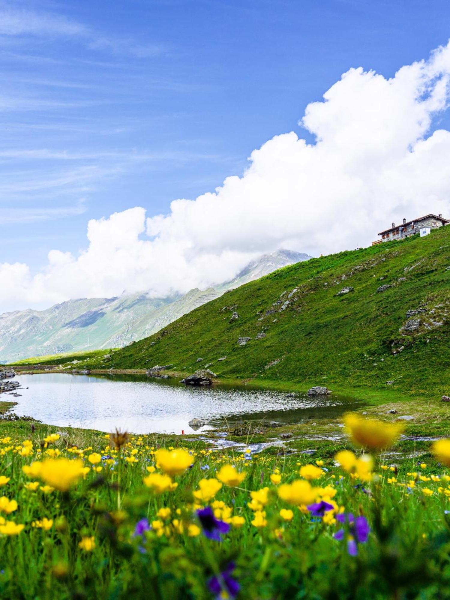 Rifugio Baita Belvedere Bed & Breakfast Champoluc Dış mekan fotoğraf