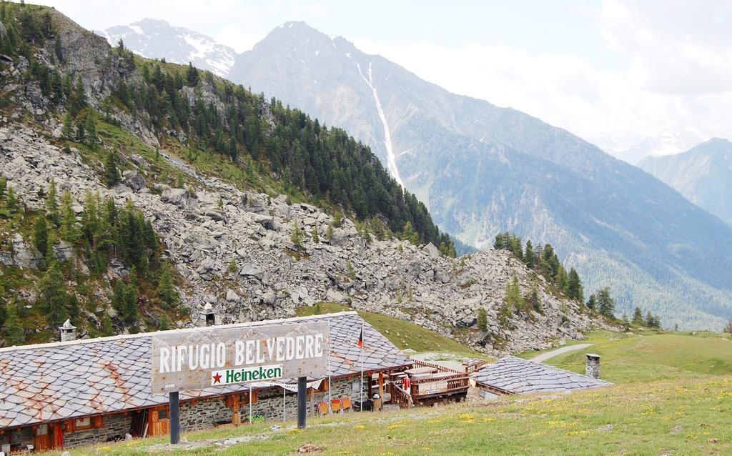 Rifugio Baita Belvedere Bed & Breakfast Champoluc Dış mekan fotoğraf